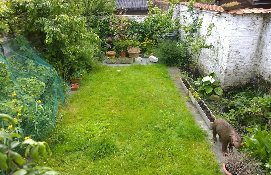 B&B Oostende-1