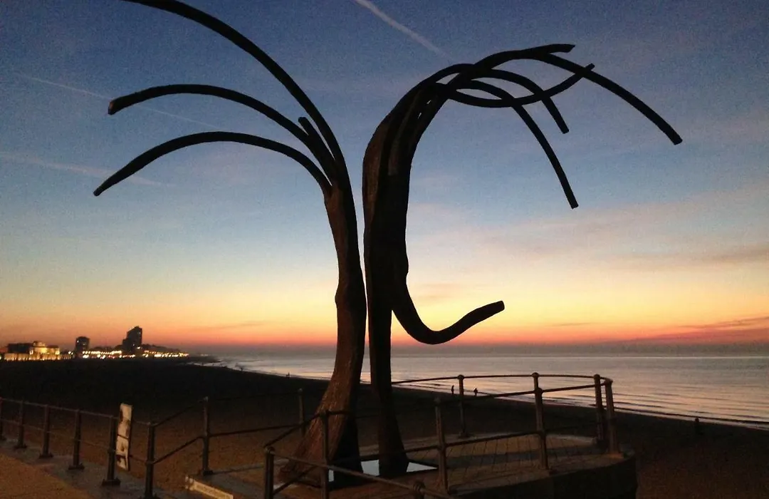 Comfort Aan Zee-1